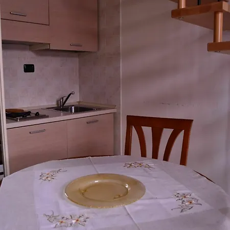 Gatto Bianco Le Dimore Affittacamere Bari