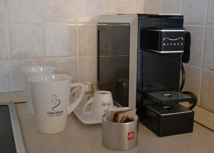 Gatto Bianco Le Dimore 3* בארי