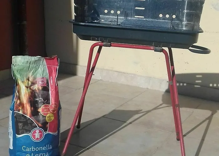 Gatto Bianco Le Dimore