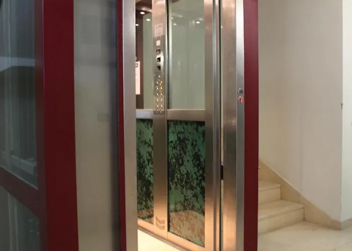 Gatto Bianco Le Dimore Affittacamere